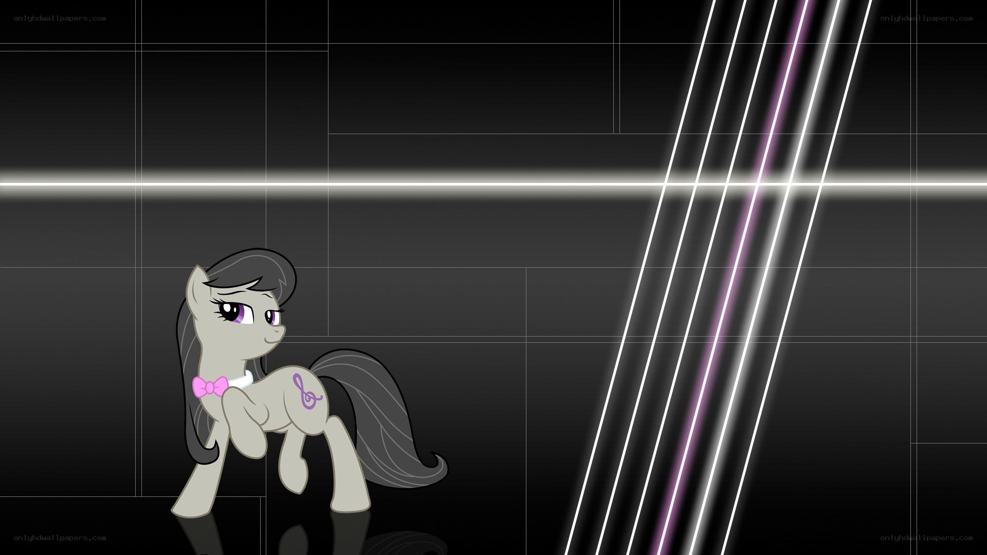 pony in a dark room