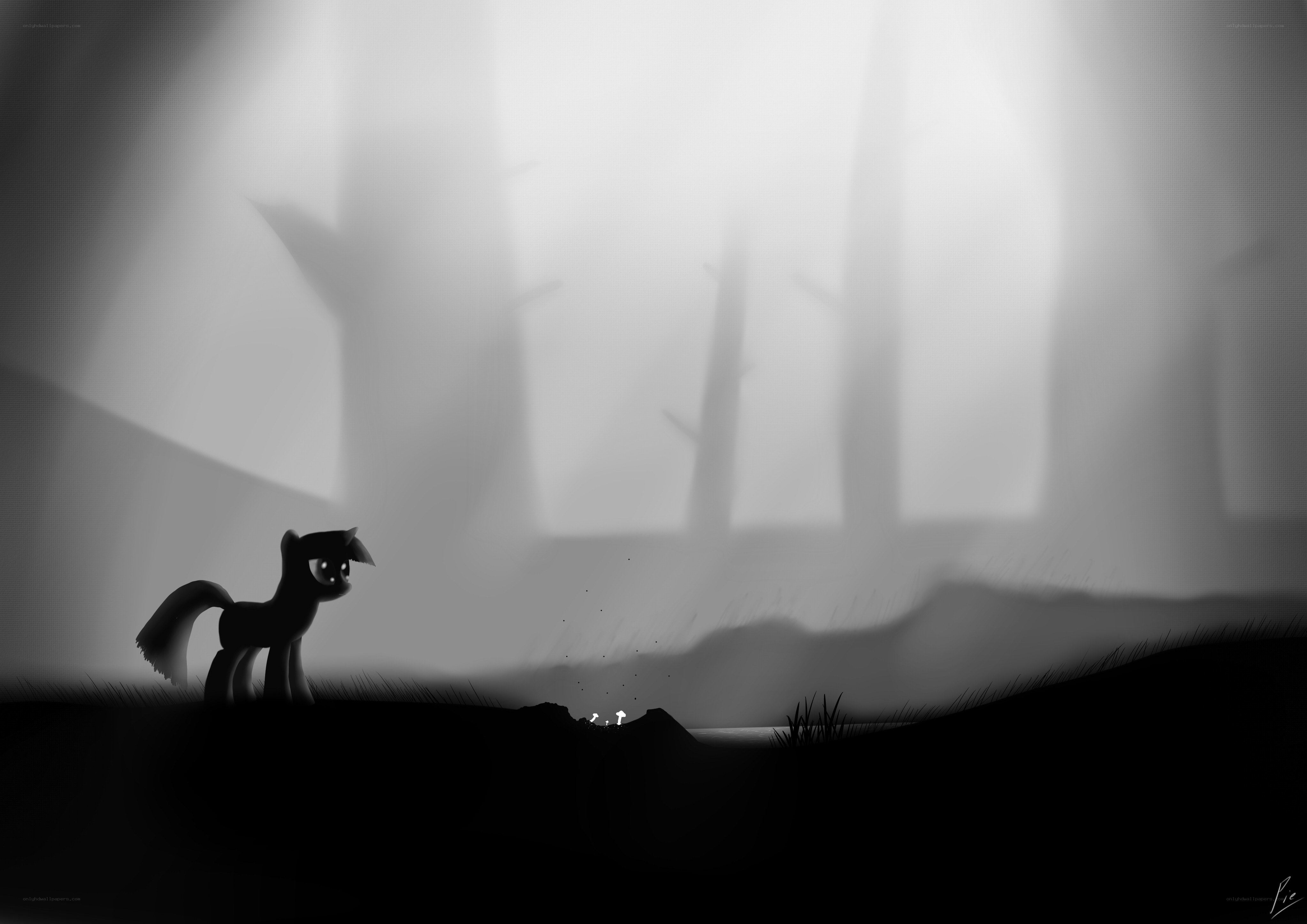 pony in a misty forest