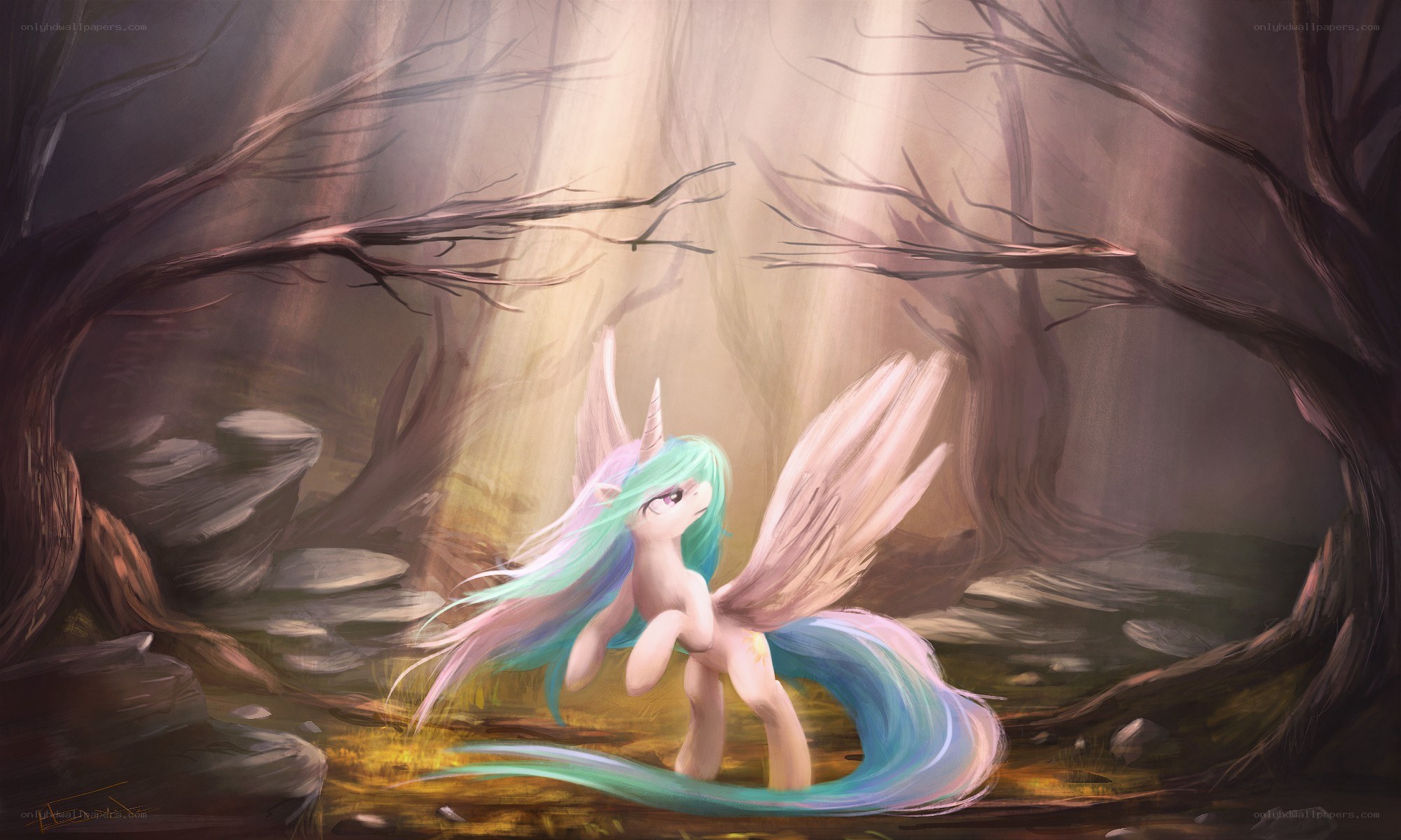 pony in a sunlit forest