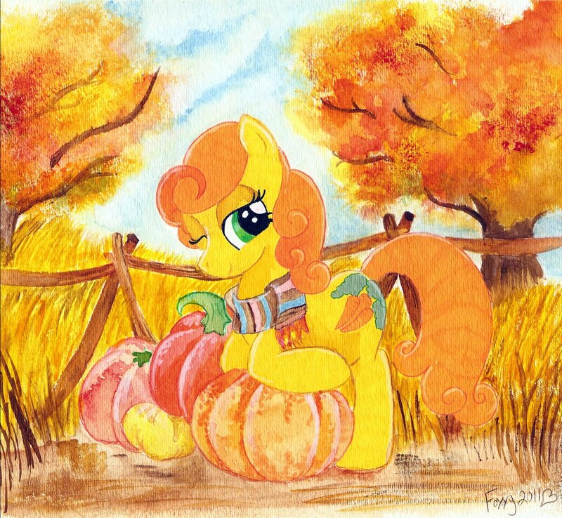 Pony in autumn harvest
