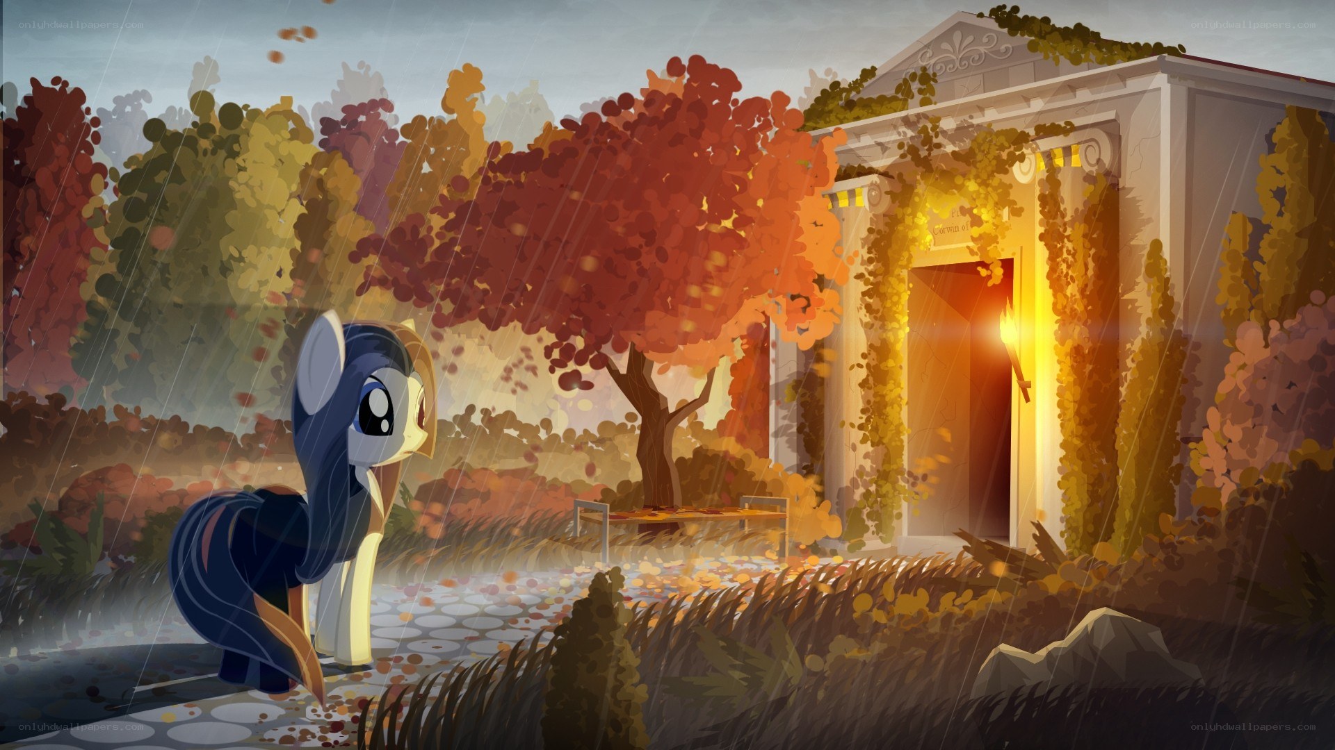 pony in autumn rain