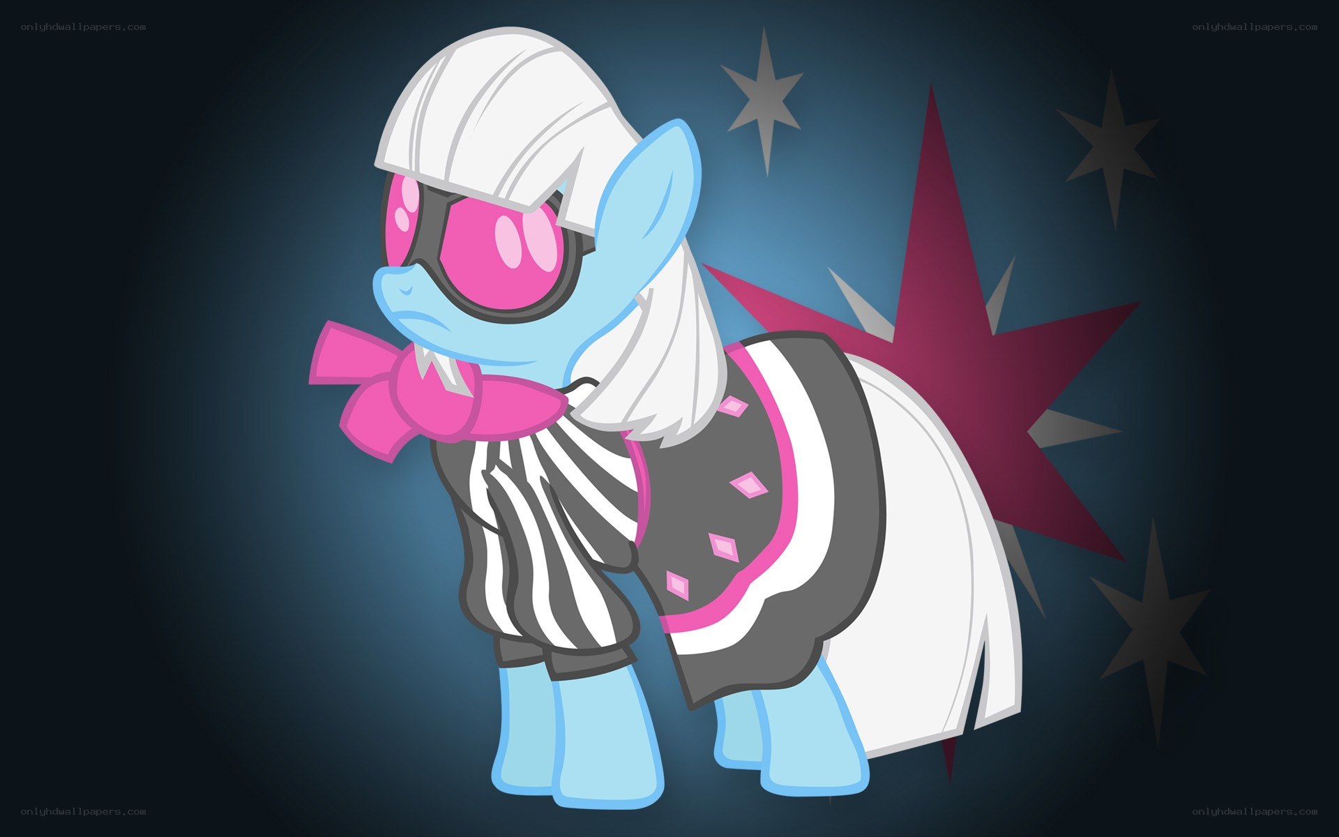 pony in stylish outfit