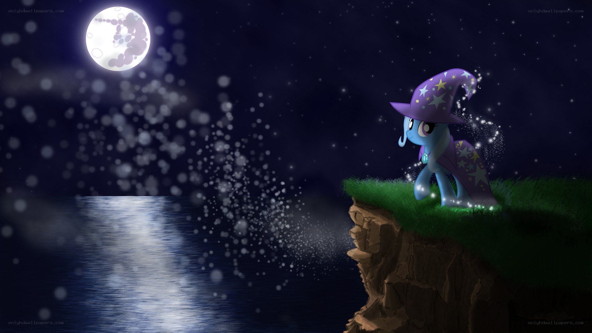 pony on a cliff at night