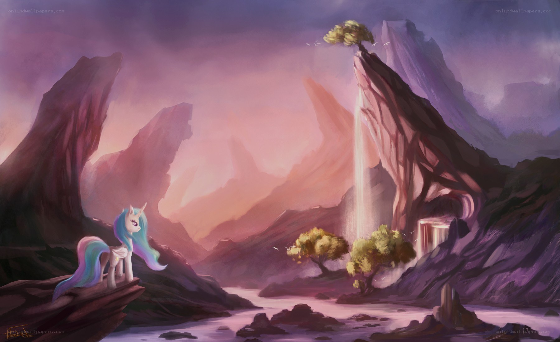 pony on a cliff at sunset