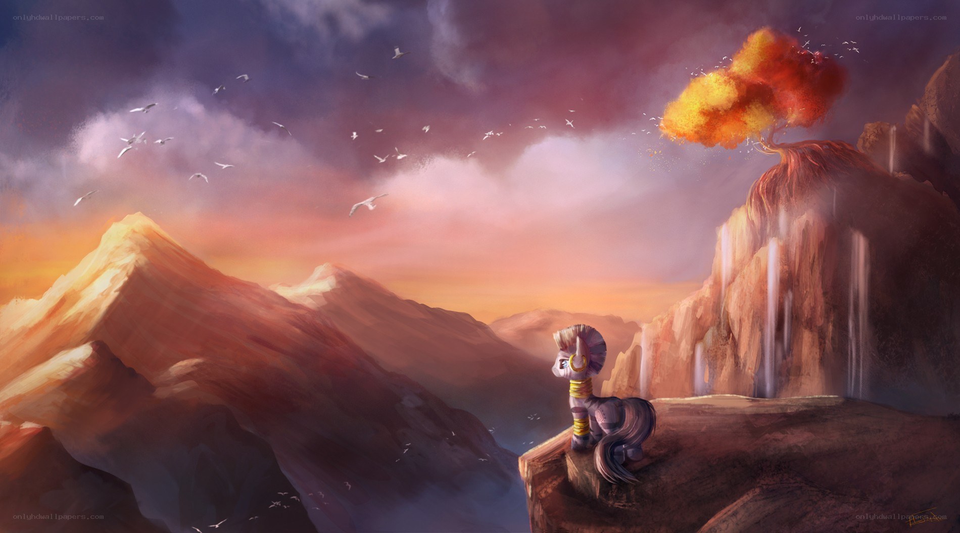 pony on a cliff at sunset