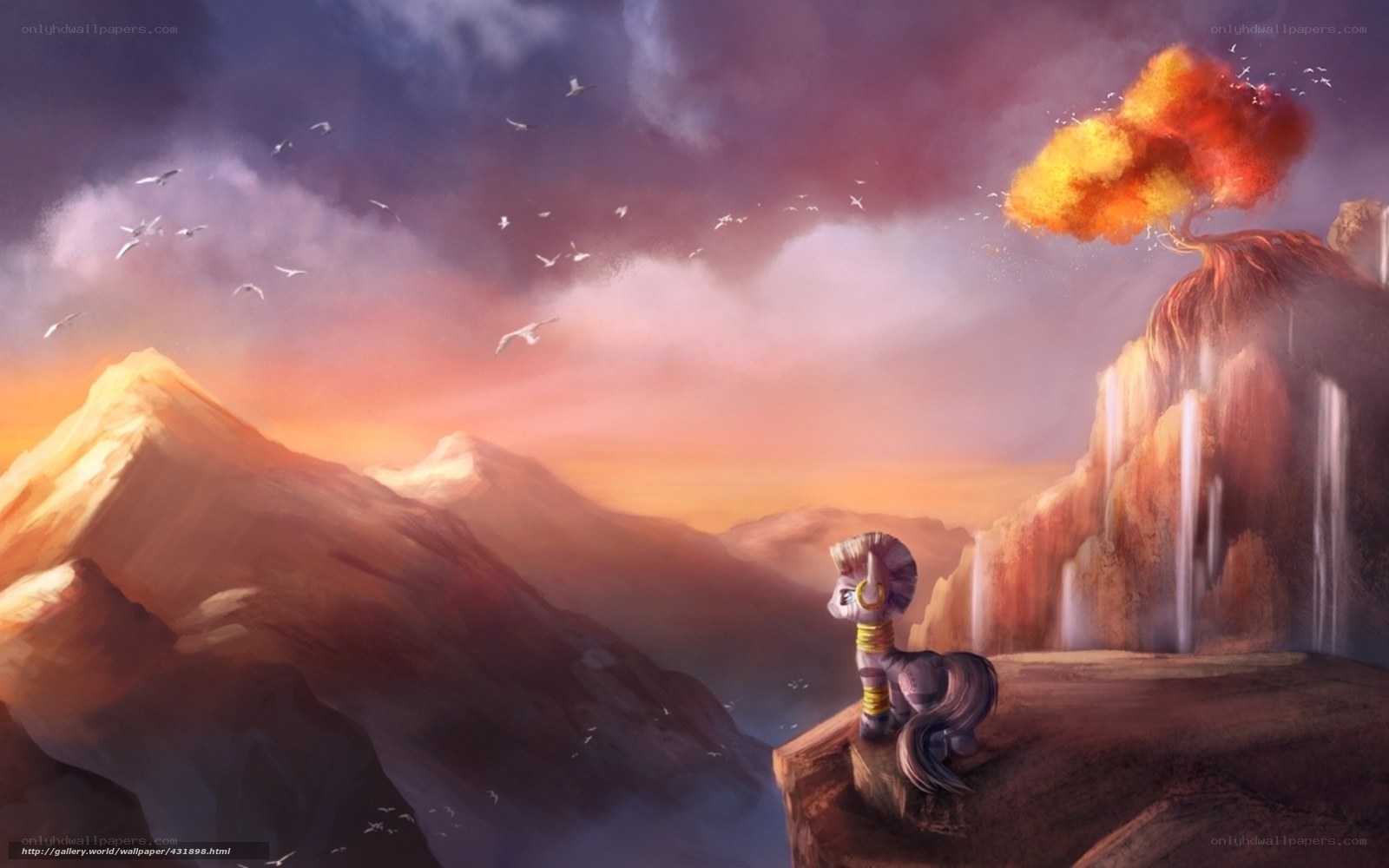 pony on a cliff at sunset