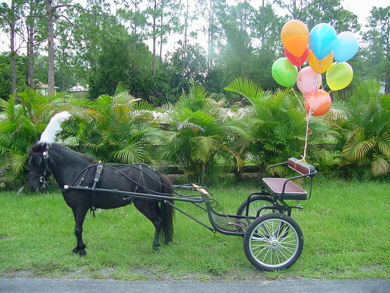 Pony pulling a decorated cart