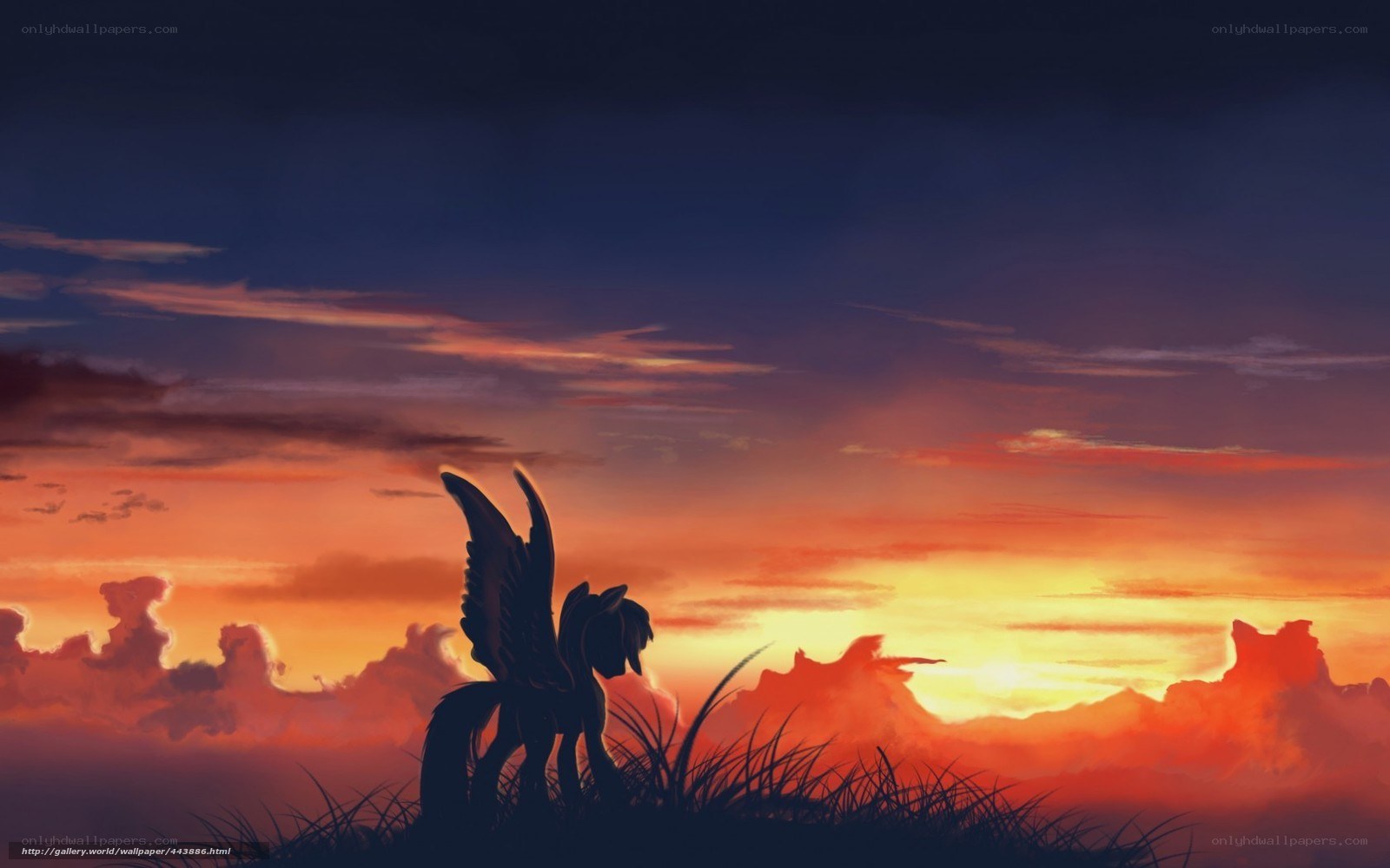 Pony silhouette at sunset