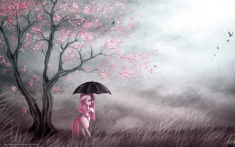 pony under cherry blossom tree