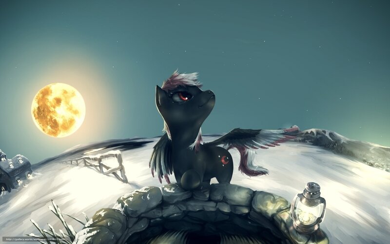 pony under the moon