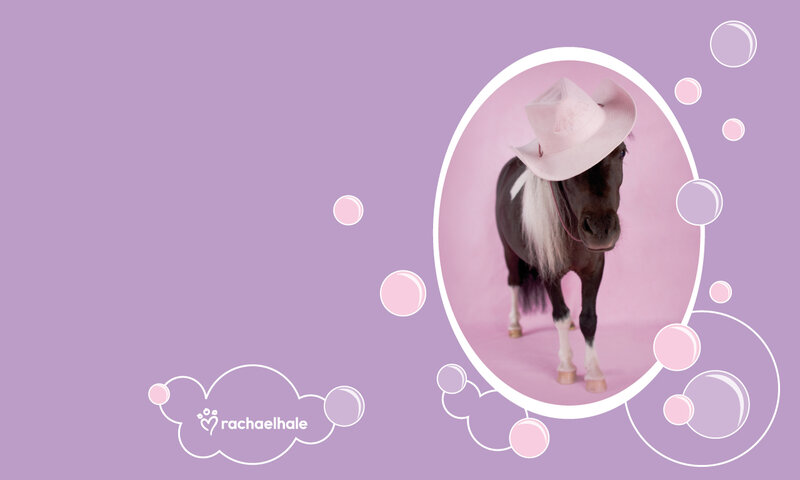 Pony Wearing Cowboy Hat — Purple