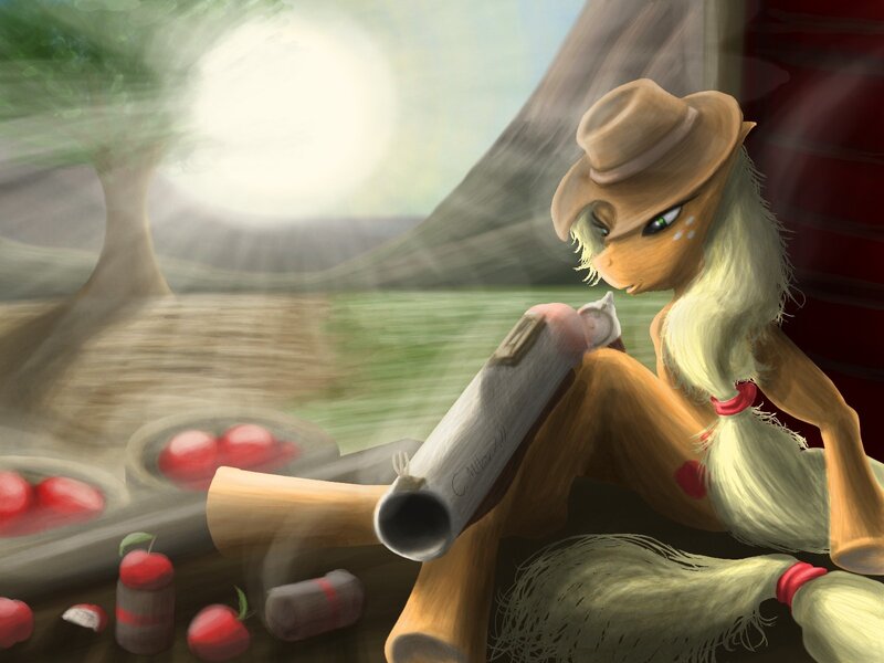pony with a cannon
