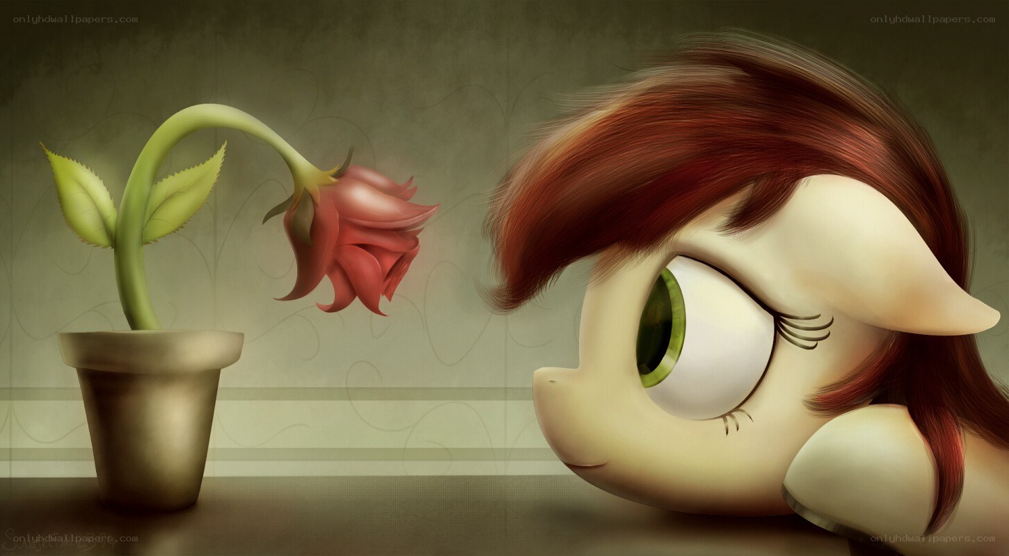 pony with a wilted rose