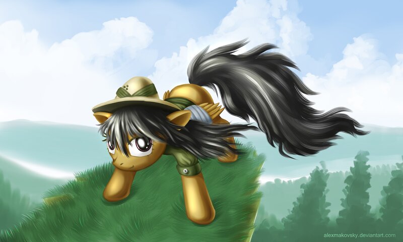Pony with Black Mane