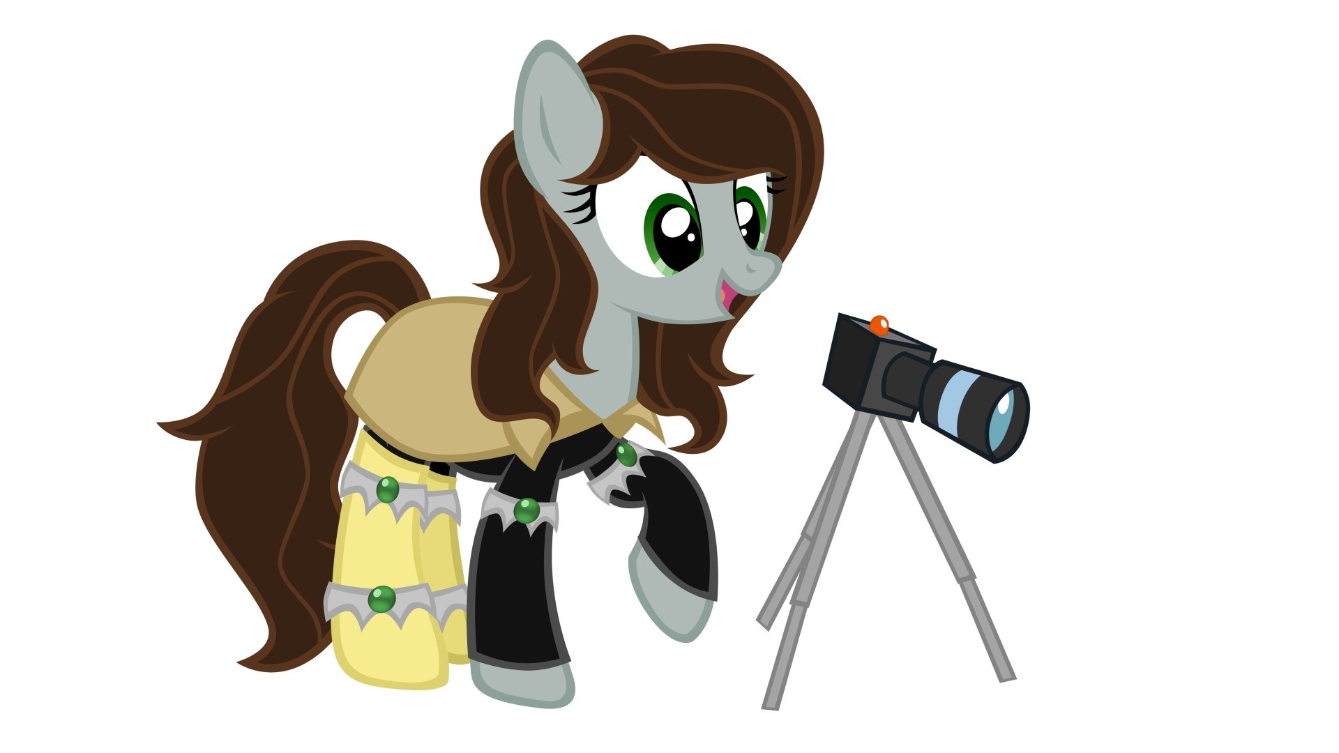 pony with camera