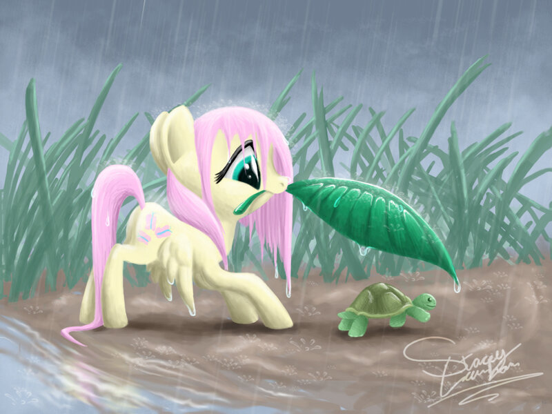 Pony with Turtle in Rain