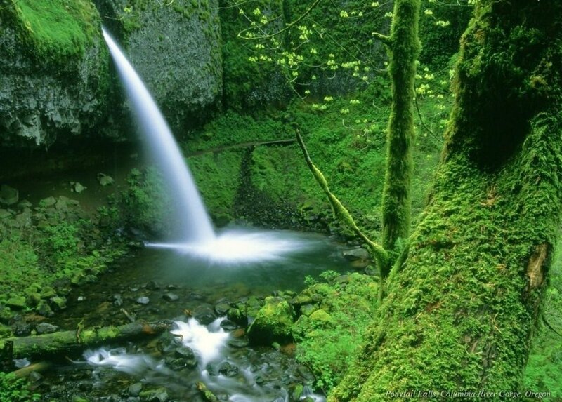 Ponytail Falls Waterfall