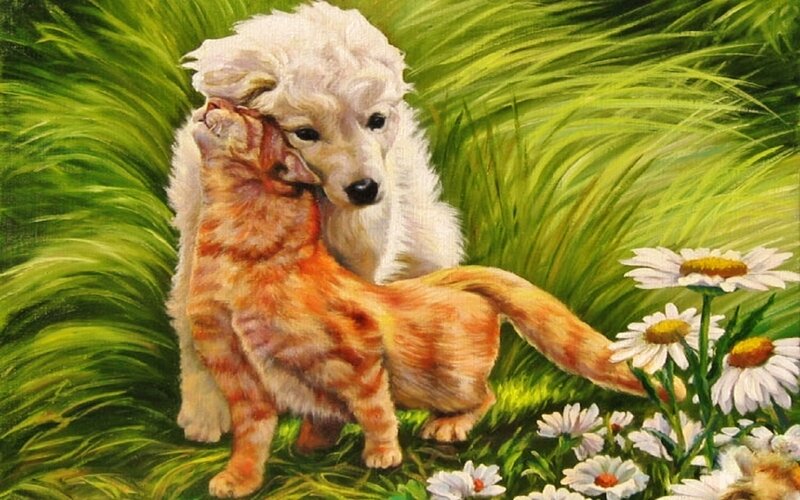 Poodle Puppy and Cat — Green
