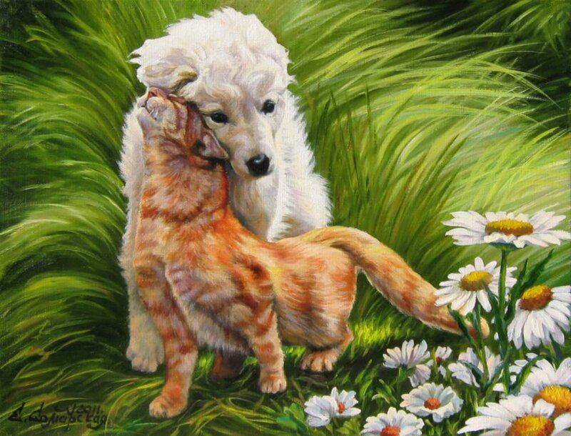 Poodle Puppy and Cat
