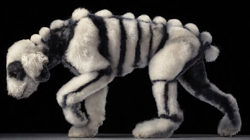 Poodle with Skeleton Design