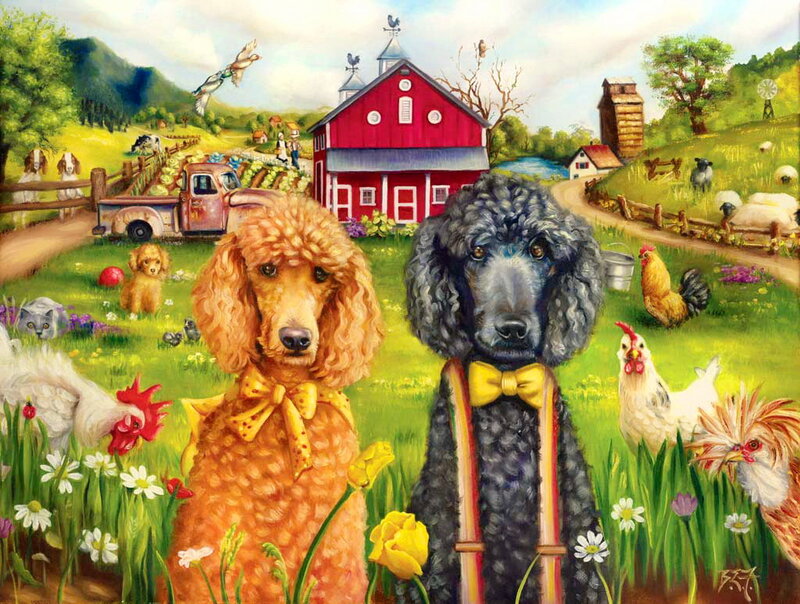 Poodles on a Farm