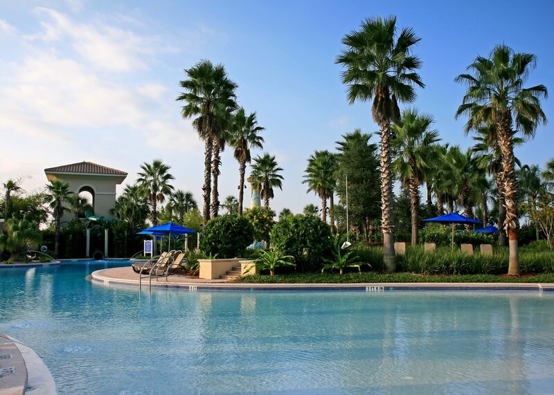 Pool area with palm trees