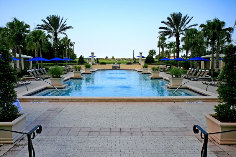 pool area with palm trees
