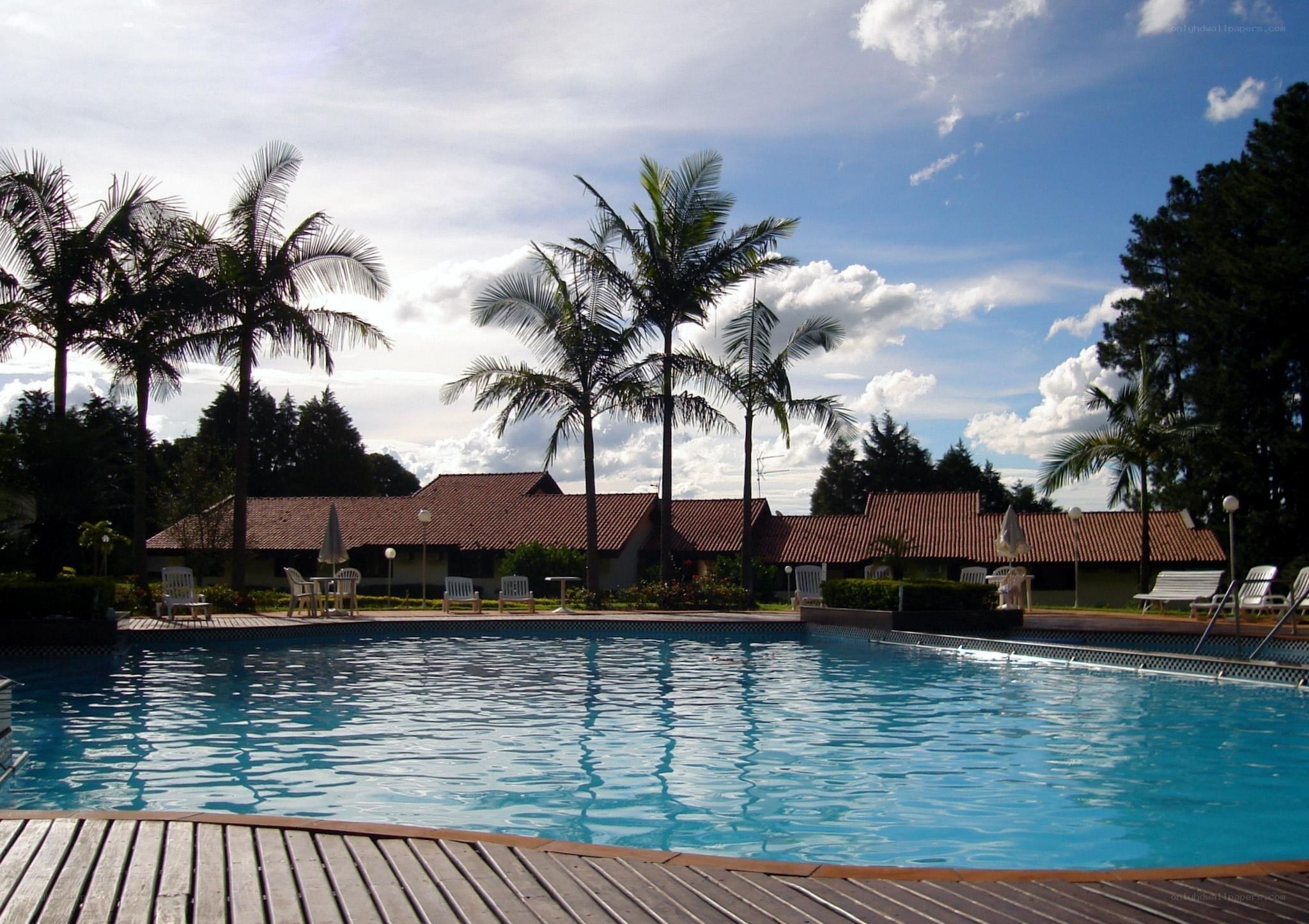 pool area with palm trees