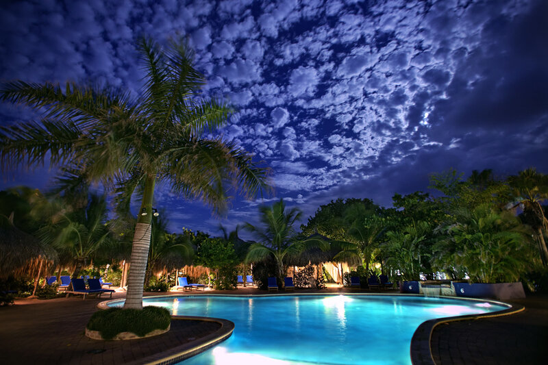 Pool at Night with Palm Tree