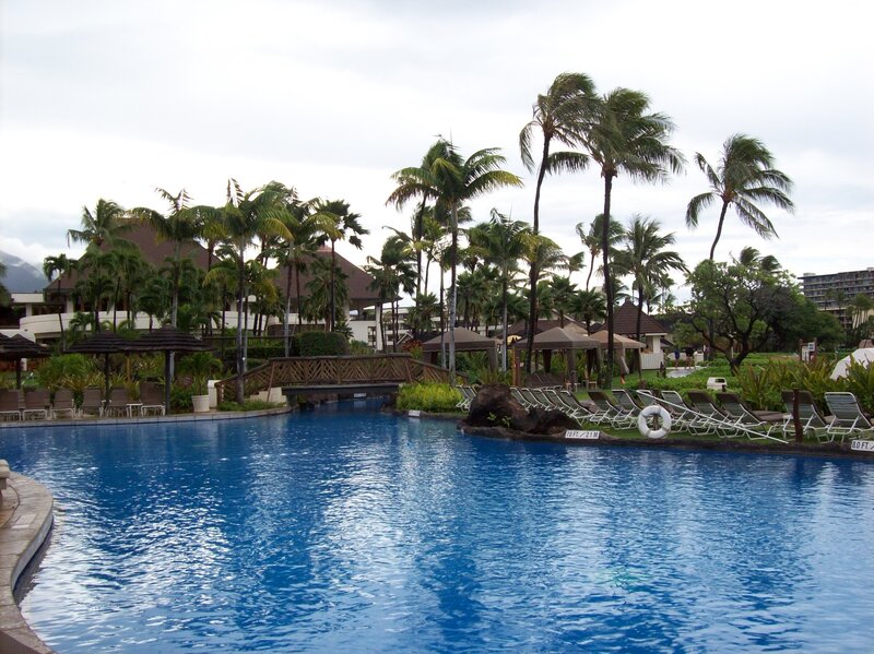 Pool at Resort Hotel — Blue, Serene, Afternoon, Photograph, Palm Trees