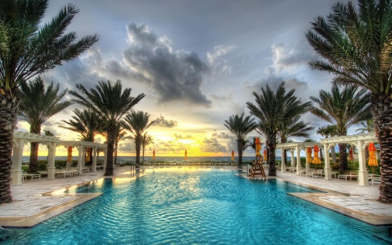 Pool at Resort with Palm Trees — Blue, Serene