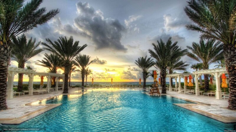 Pool at Resort with Palm Trees — Blue