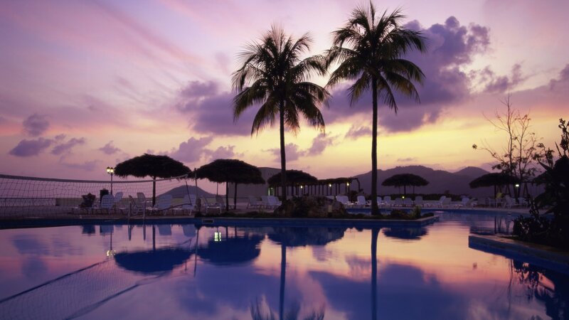 pool at sunset with palm trees