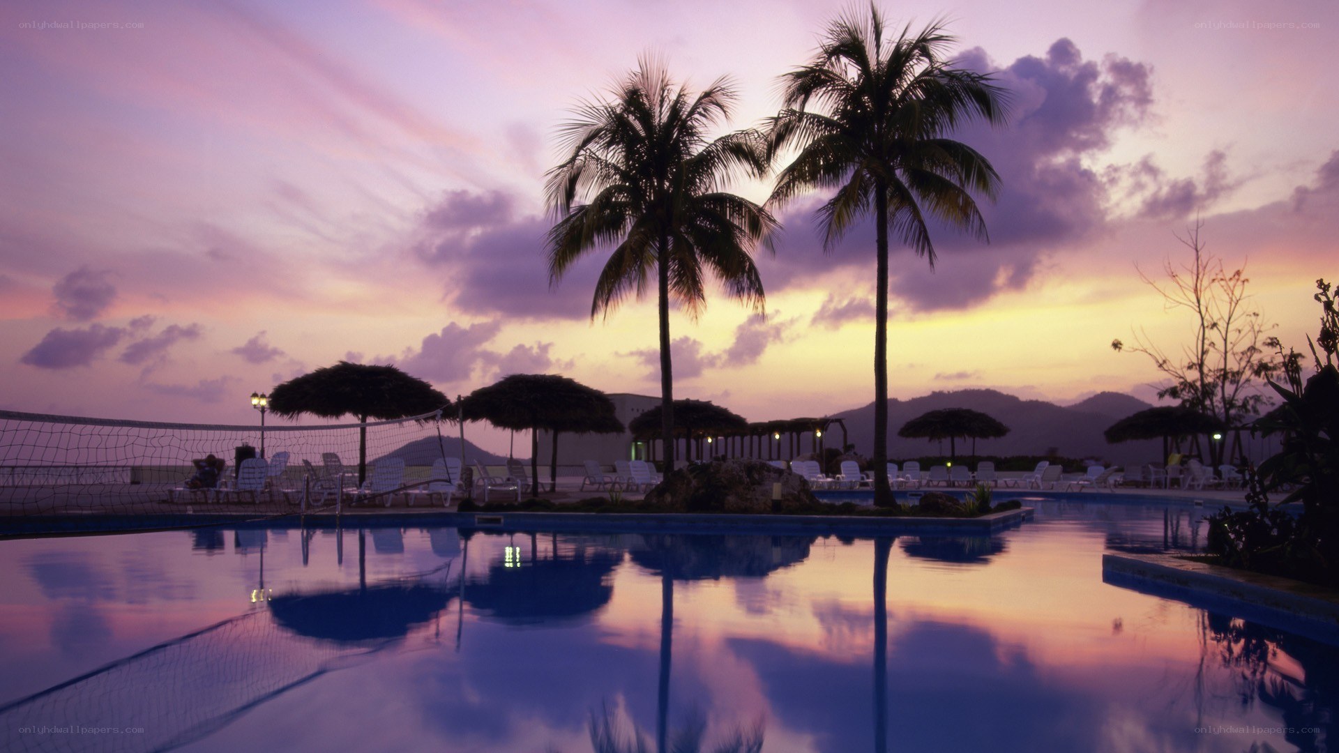 pool at sunset with palm trees