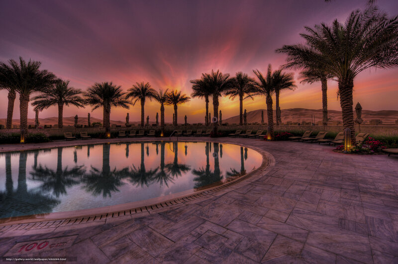 Pool at sunset with palm trees