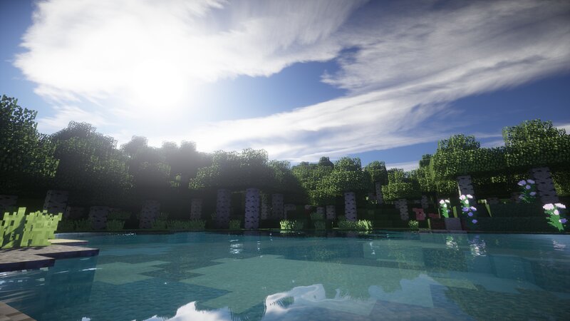 Pool in Forest Biome