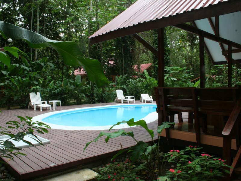 Pool in Tropical Garden — Green, Serene
