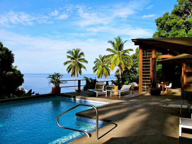 Pool Overlooking Ocean — Blue, Serene, Afternoon, Photograph, Palm Trees