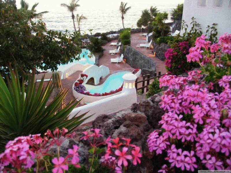 Pool Overlooking Ocean — Pink