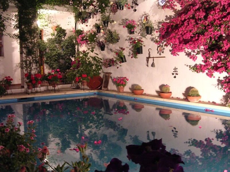 Pool Surrounded by Flowers