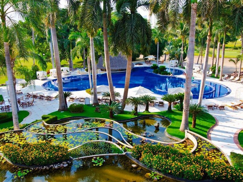 Pool Surrounded by Palm Trees — Blue, Serene
