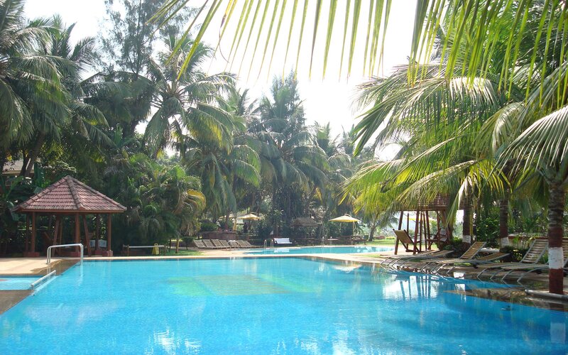 Pool Surrounded by Palm Trees — Blue, Tropical