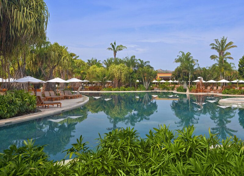 Pool Surrounded by Palm Trees
