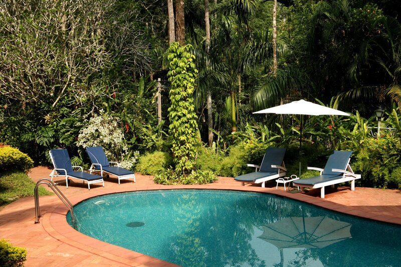 Pool Surrounded by Trees