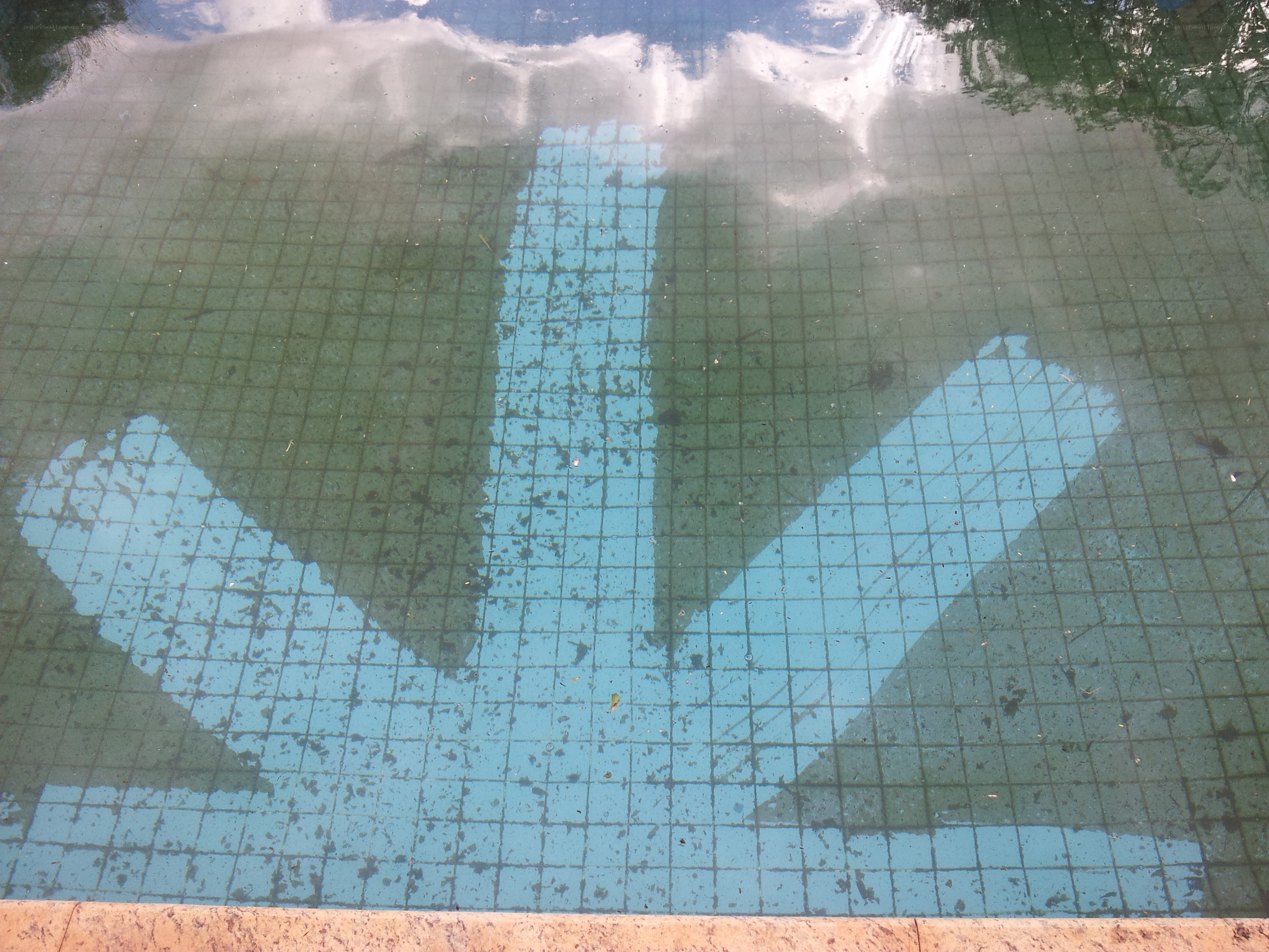 pool tiles with reflection