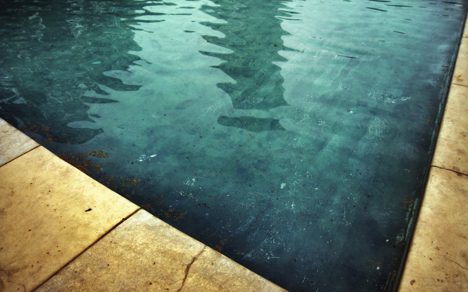 pool water with debris