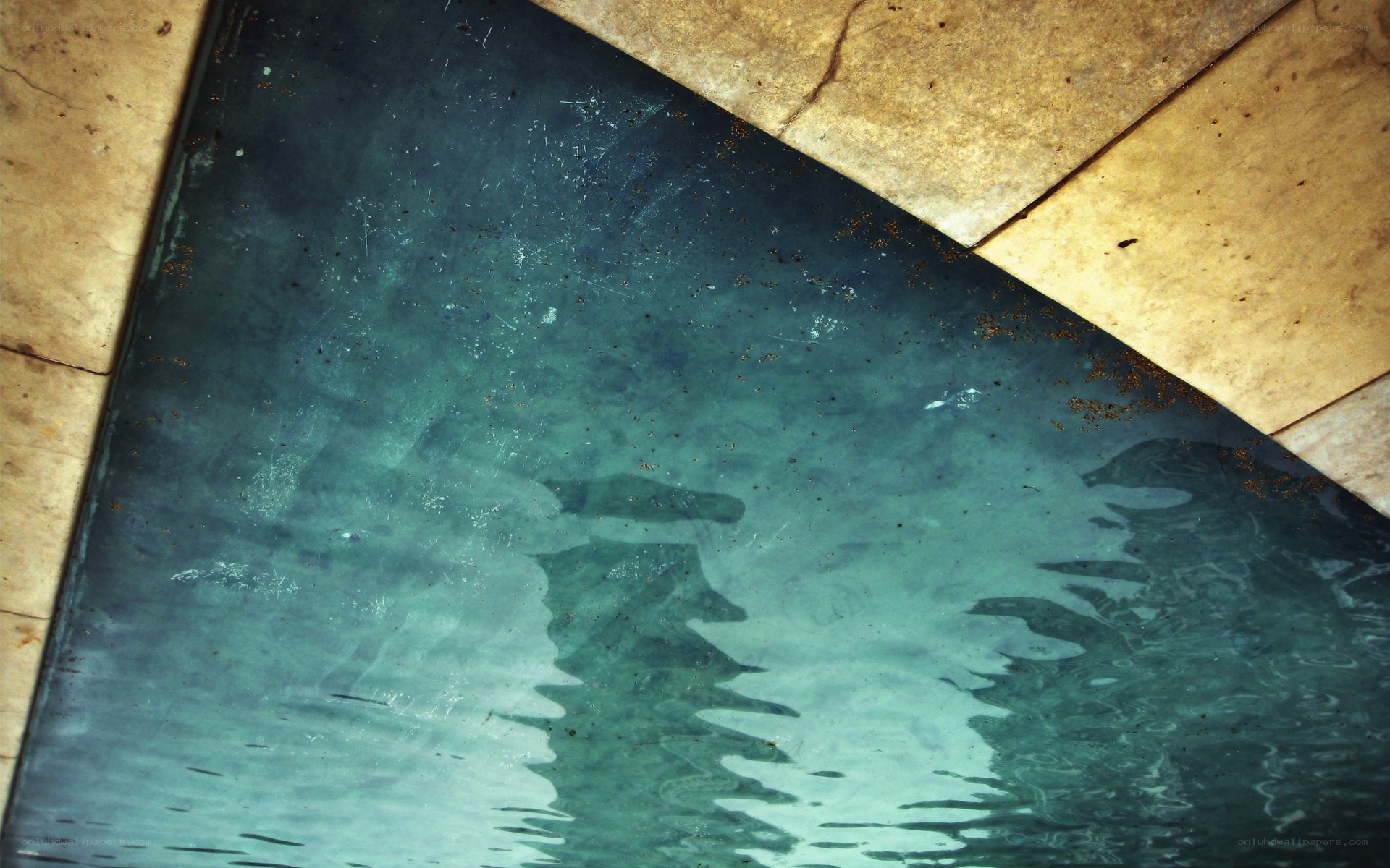 pool water with debris