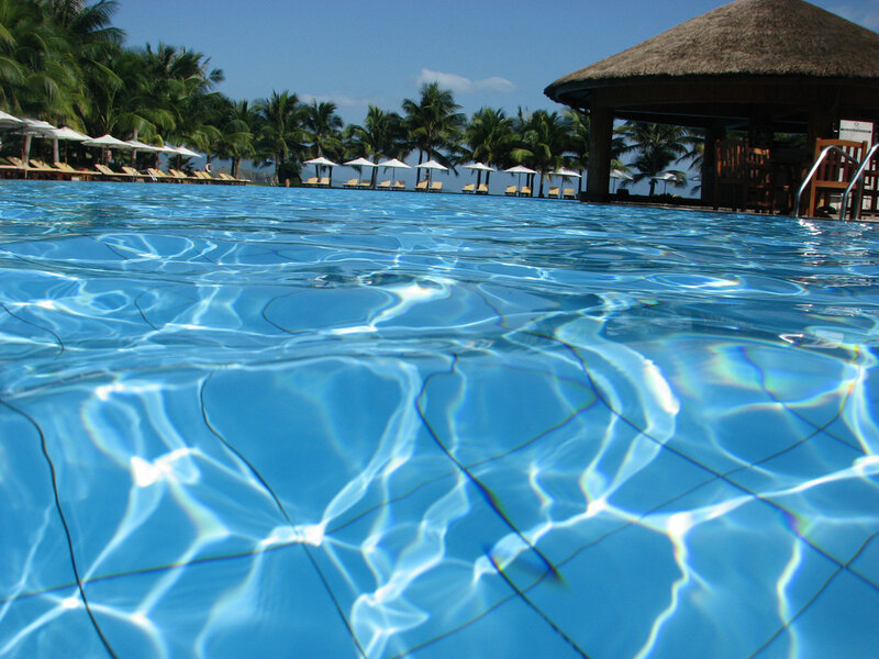 pool with palm trees