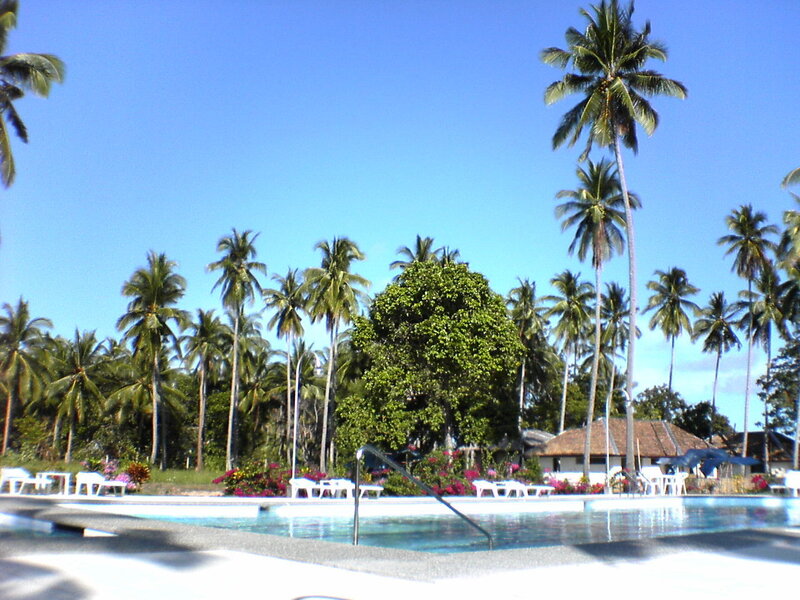 Pool with Palm Trees — Blue, Serene, Afternoon, Photograph, Palm Trees, Flowers