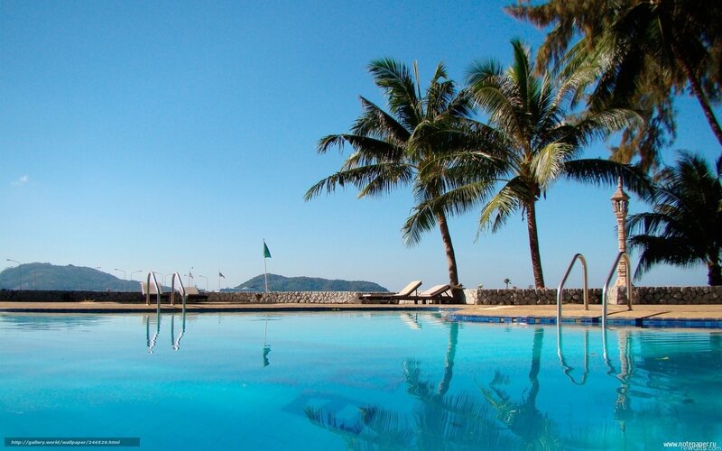 Pool with Palm Trees — Blue, Serene, Afternoon, Photograph, Palm Trees, Lounge Chairs